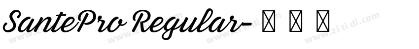 SantePro Regular字体转换